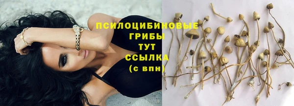 СК Алзамай