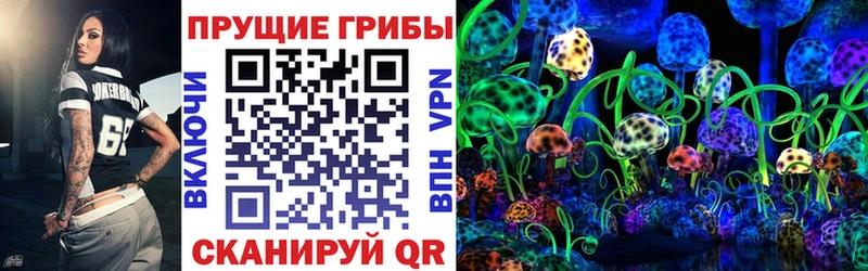дарк нет Telegram  Яровое  Псилоцибиновые грибы прущие грибы  МЕГА ССЫЛКА 